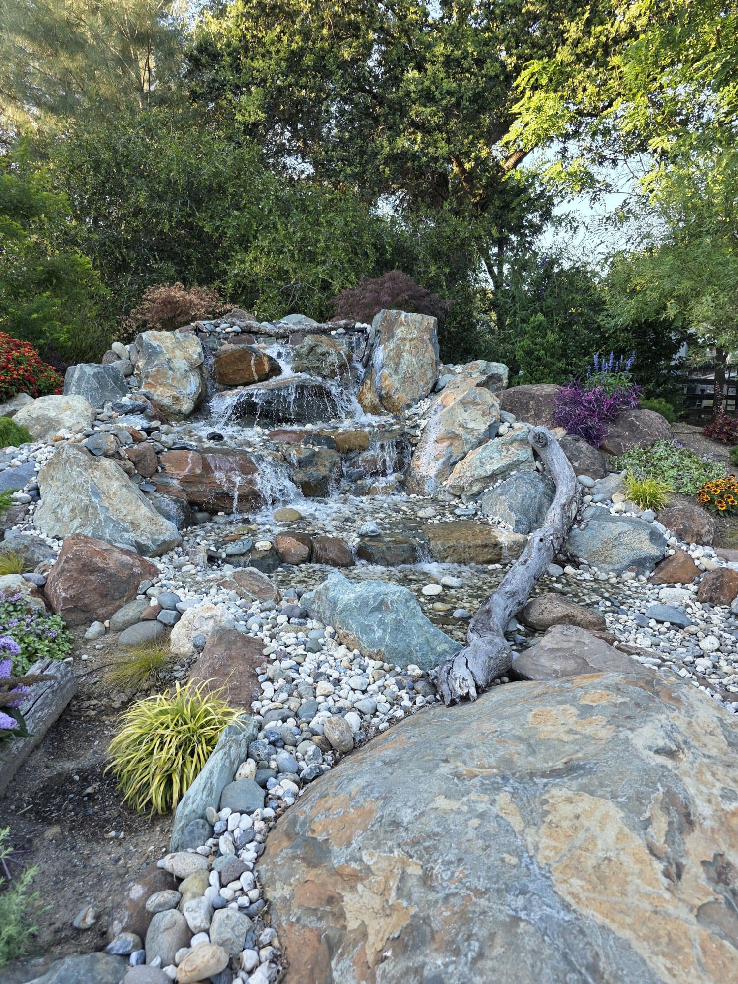 Custom backyard waterfall designed and installed by Holt Landscape near Lincoln, CA