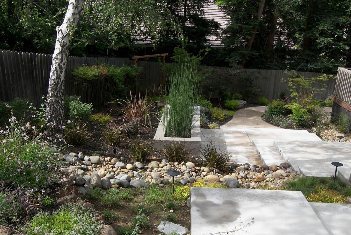 Dry creek bed with river rock winding through a shaded backyard built by Holt Landscape in Rocklin, CA